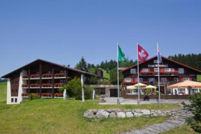 Отель Hotel Arvenbüel  Амден